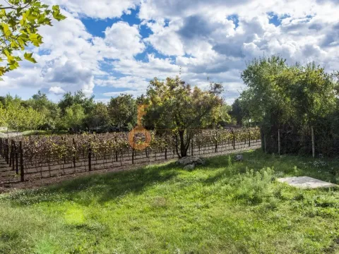 Prodaja, plac, 36246m², Danilovgrad, Crna Gora - image 2