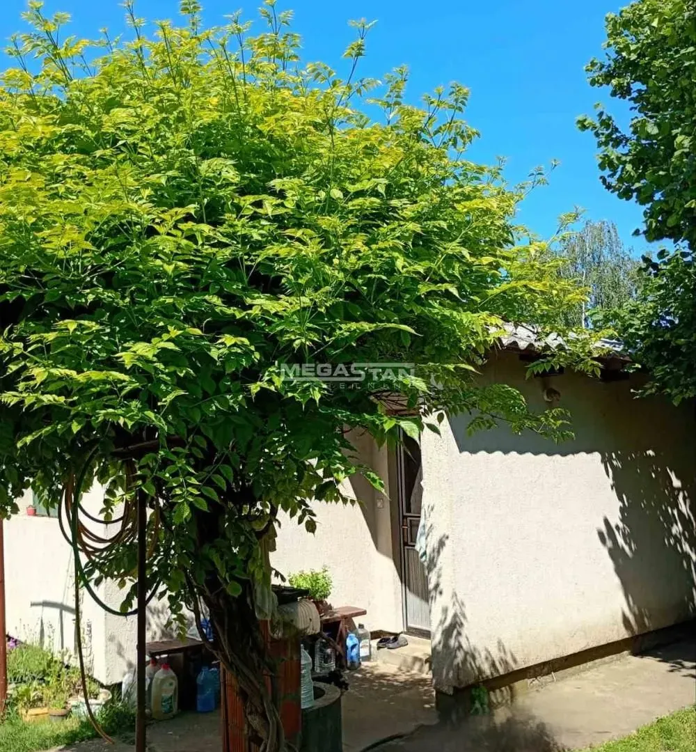 Sale, house, 185m², Surčin, Beograd