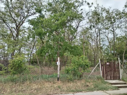 Ograđeno dvorište sa drvećem i rastinjem. - image 3