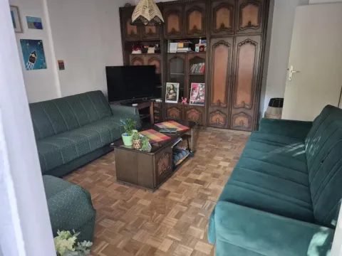 Dnevna soba sa zelenim garniturama za sedenje i drvenim nameštajem. - image 2