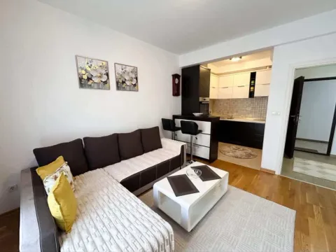Rent, one bedroom apartment, 45m², Podgorica, Crna Gora - image 9