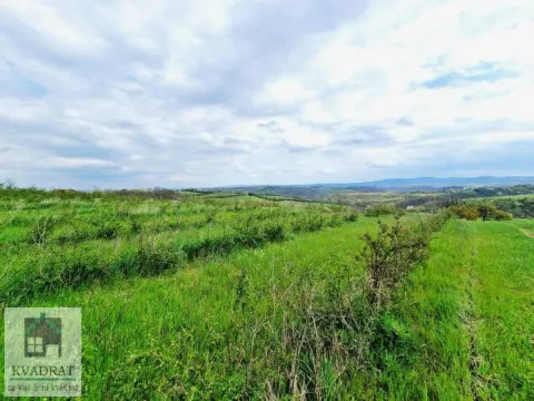 Prodaja, plac, 14000m², Pambukovica, Ub - image 13