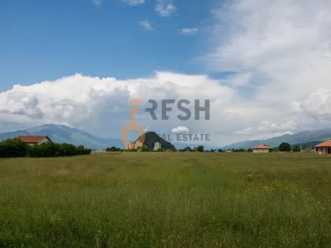 Prodaja, plac, 7500m², Danilovgrad, Crna Gora - image 5