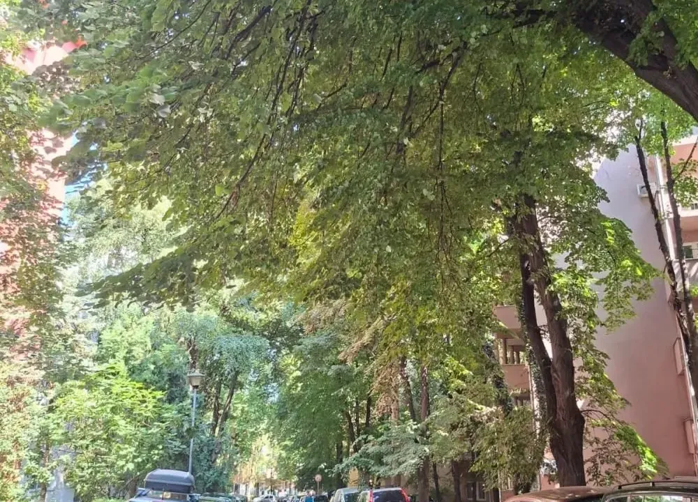 Sale, two bedroom apartment, 49m², Karaburma, Palilula Sve Podlokacije