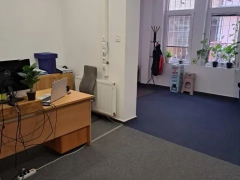 Izdavanje, poslovni prostor, 330m², Socijalno, Novi Sad Sve Podlokacije - image 5