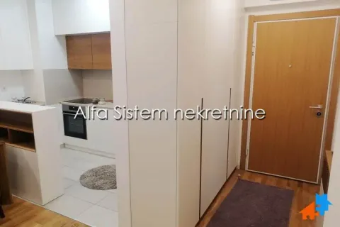 Rent, two bedroom apartment, 67m², Novi Beograd Sve Podlokacije, Beograd - image 12