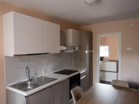 Izdavanje, dvosoban stan, 47m², Centar, Niš - image 5