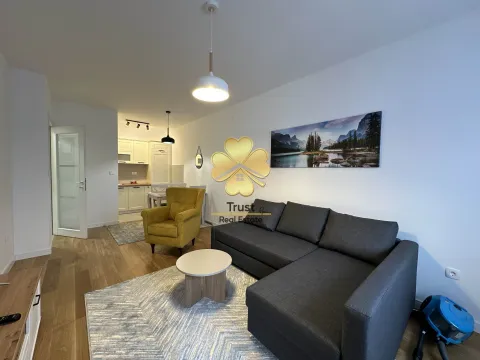 Izdavanje, jednosoban stan, 48m², Central Point, Podgorica - image 2