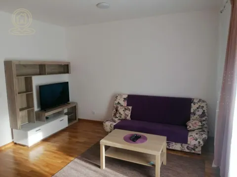 Izdavanje, dvosoban stan, 50m², Jugovićevo, Novi Sad Sve Podlokacije - image 2