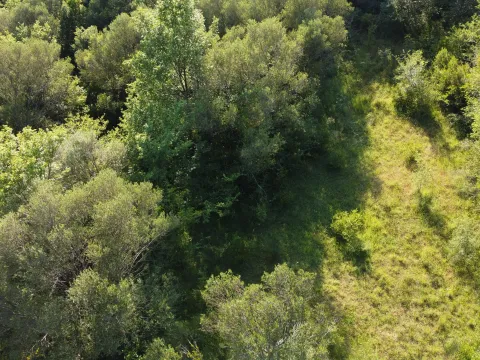 Prodaja, plac, 500m², Mojdež, Herceg Novi - image 6