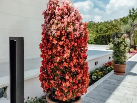 Sale, house, 318m², Reževići, Budva - image 34