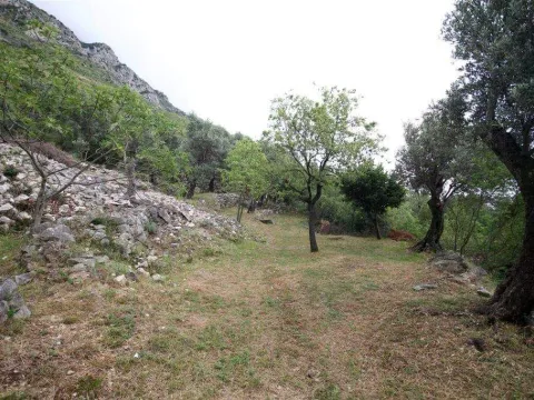 Prodaja, plac, 2650m², Budva, Crna Gora - image 11