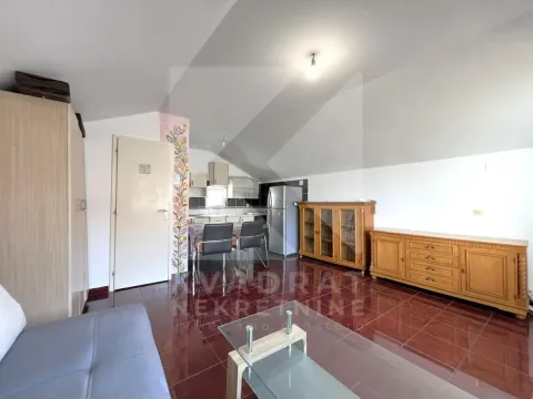 Rent, studio apartment, 25m², Tološka šuma, Podgorica - image 2