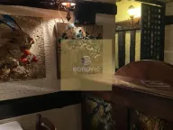 Prodaja, ugostiteljski objekat, 244m², Zemun Kalvarija, Zemun Sve Podlokacije - image 13