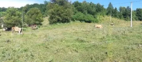 Sale, land lot, 26500m², Živica, Lučani - image 2