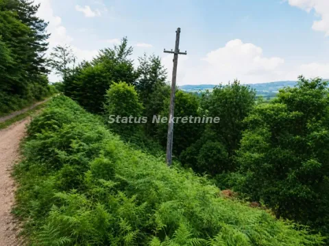 Prodaja, plac, 79429m², Požega, Srbija - image 4