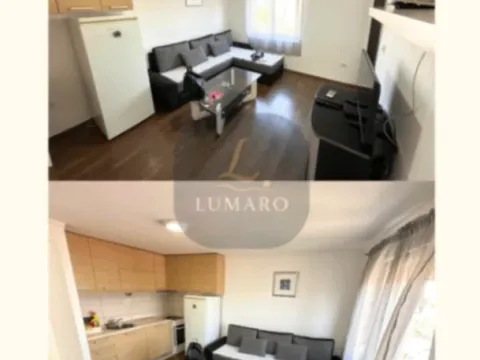 Izdavanje, dvosoban stan, 40m², Centar, Podgorica - image 3