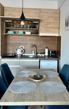 Sale, one bedroom apartment, 29m², Kraljevi Čardaci, Kopaonik - image 10