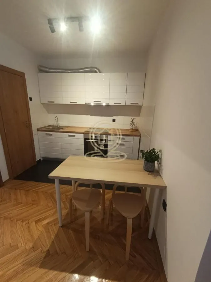 Izdavanje, dvosoban stan, 55m², Centar, Novi Sad