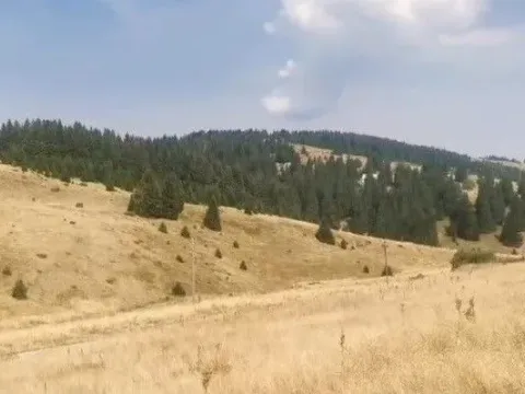 Sale, land lot, 6000m², Kopaonik, Srbija - image 6