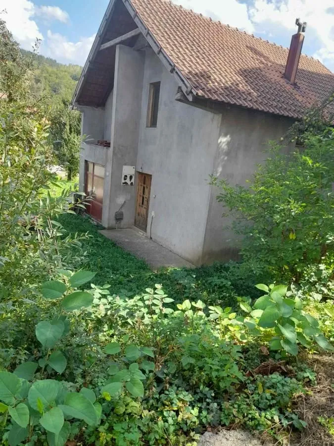 View of the exterior of the house with a yard and greenery.