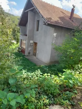 View of the exterior of the house with a yard and greenery. - image 3