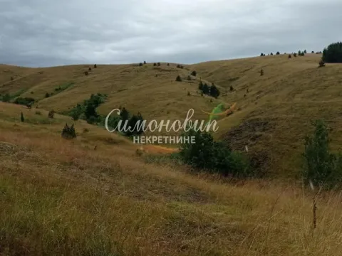 Sale, land lot, 38400m², Divčibare, Valjevo - image 10