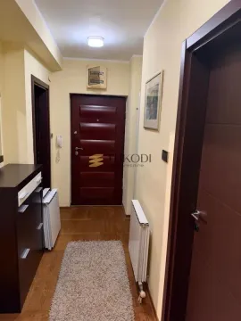 Izdavanje, dvosoban stan, 75m², Južni Bulevar, Vračar Sve Podlokacije - image 7