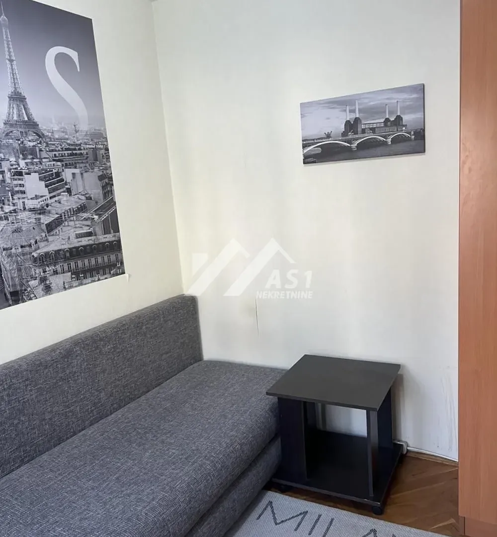 Izdavanje, dvosoban stan, 50m², Centar, Novi Sad