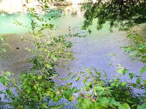 Sale, land lot, 4700m², Danilovgrad, Crna Gora - image 5