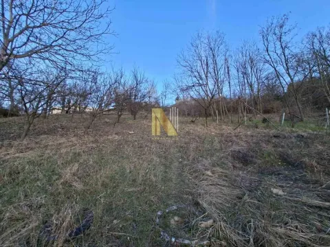 Pogled na plac sa niskim rastinjem i drvećem. - image 6