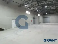 Izdavanje, poslovni prostor, 400m², Novi Banovci, Stara Pazova - image 2