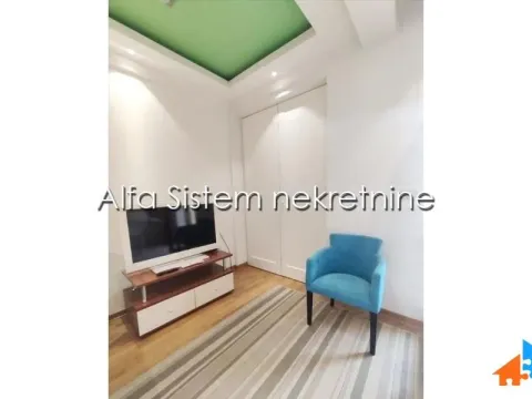 Izdavanje, dvosoban stan, 50m², Vračar Hram, Vračar Sve Podlokacije - image 5