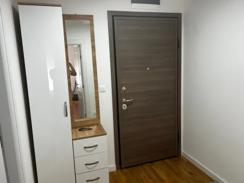 Izdavanje, jednosoban stan, 48m², Zabjelo, Podgorica - image 7