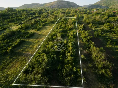 Sale, land lot, 227300m², Pantelej, Niš - image 1
