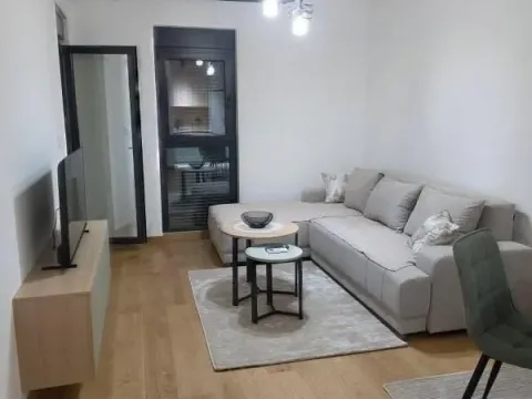 Izdavanje, jednosoban stan, 46m², City Kvart, Podgorica - image 2