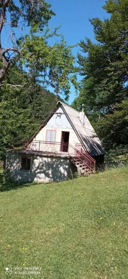 Prodaja, plac, 99100m², Donja Bukovica, Šavnik