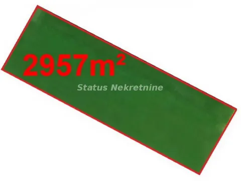 Prodaja, plac, 2900m², Bečej, Novi Sad - image 1