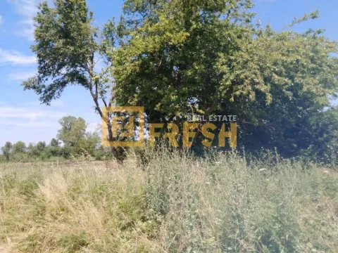 Prodaja, plac, 3300m², Ostalo, Podgorica - image 3