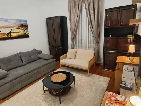 Izdavanje, jednosoban stan, 35m², Stari Grad, Beograd - image 2