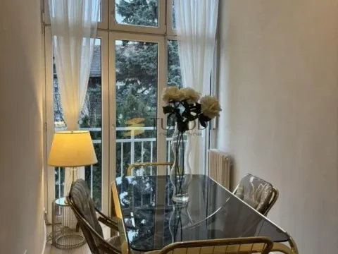 Izdavanje, dvosoban stan, 54m², Botanička Bašta, Palilula Sve Podlokacije - image 6