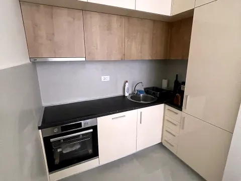 Rent, one bedroom apartment, 47m², Central Point, Podgorica - image 4