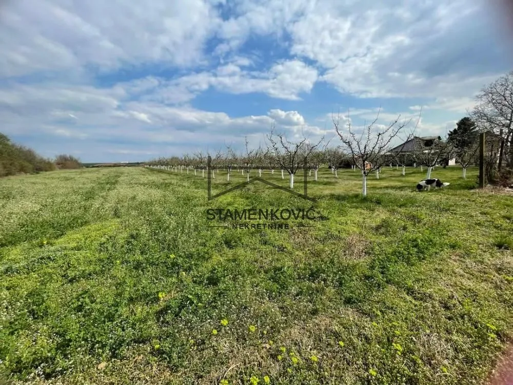 Prodaja, plac, 4636m², Sremska Mitrovica, Srbija