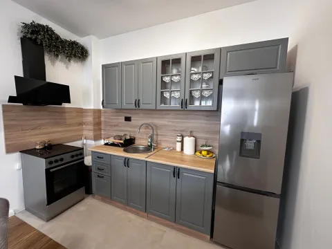 Izdavanje, jednosoban stan, 46m², Donja Gorica, Podgorica - image 3