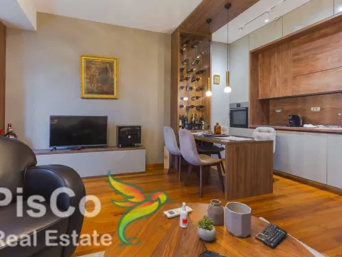 Izdavanje, jednosoban stan, 55m², Preko Morače, Podgorica - image 1