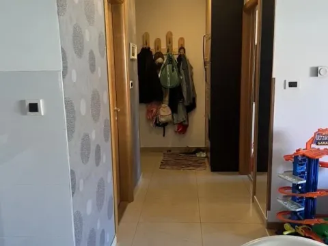 Prodaja, dvosoban stan, 47m², Detelinara, Novi Sad Sve Podlokacije - image 9