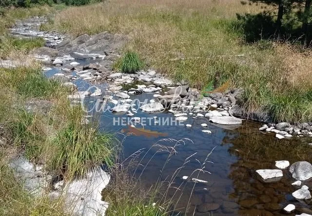 Sale, land lot, 212100m², Divčibare, Valjevo