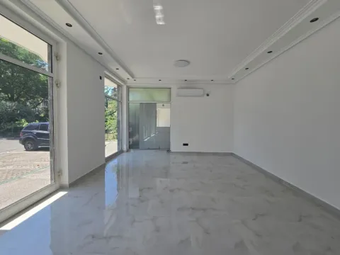Rent, office space, 59m², Ljubović, Podgorica - image 11