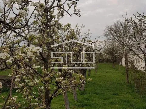 Prodaja, kuća, 120m², Stari Tamiš, Pančevo - image 10