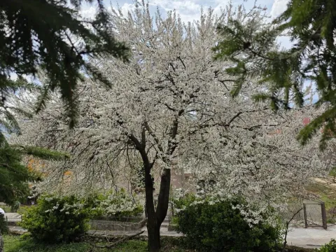 Prodaja, kuća, 95m², Centar, Nikšić - image 8